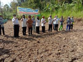 GERAKAN TANAM KACANG HIJAU KELOMPOK TANI TUNAS HARAPAN 